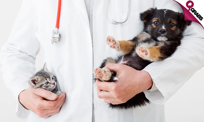 Shield your Pet with a Vaccination & Consultation!